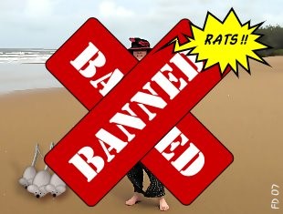 Rat ban