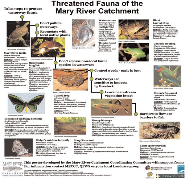 Endangered Marry River catchment species