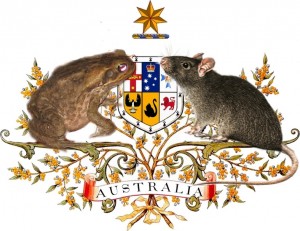 Australian Settler Coat of Arms