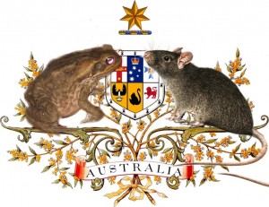 Australian Coat of Arms