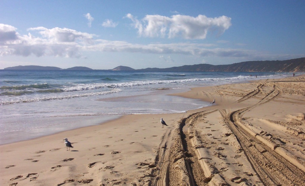 Rainbow Beach Despoiled